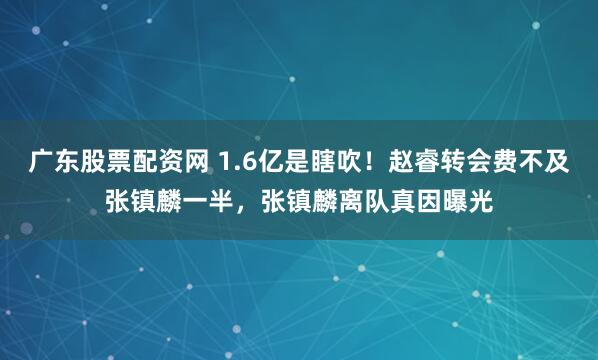 广东股票配资网 1.6亿是瞎吹！赵睿转会费不及张镇麟一半，张镇麟离队真因曝光