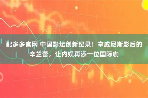 配多多官网 中国影坛创新纪录！拿威尼斯影后的辛芷蕾，让内娱再添一位国际咖