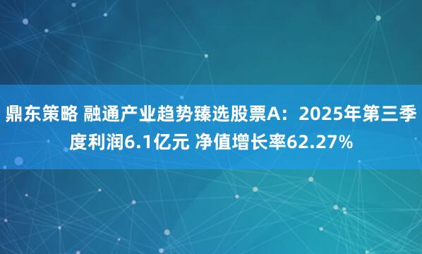 鼎东策略 融通产业趋势臻选股票A：2025年第三季度利润6.1亿元 净值增长率62.27%