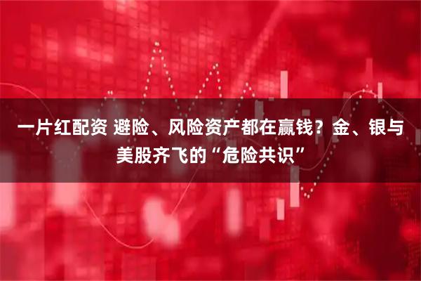 一片红配资 避险、风险资产都在赢钱？金、银与美股齐飞的“危险共识”