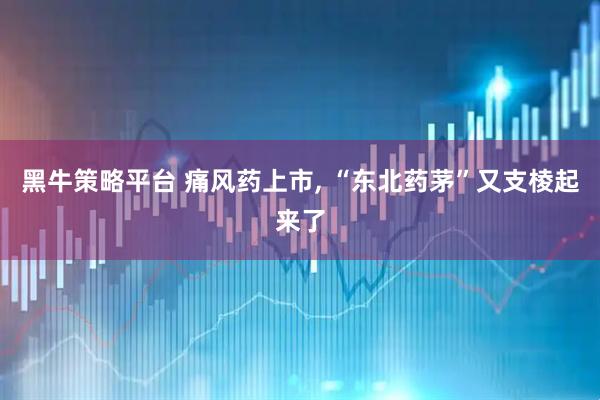 黑牛策略平台 痛风药上市, “东北药茅”又支棱起来了