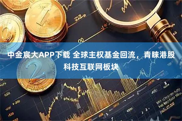 中金宸大APP下载 全球主权基金回流,青睐港股科技互联网板块