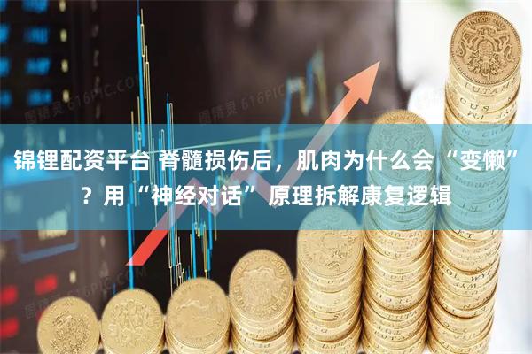 锦锂配资平台 脊髓损伤后,肌肉为什么会 “变懒”?用 “神经对话” 原理拆解康复逻辑